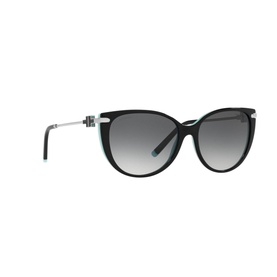 0TF4178 Cat Eye Sunglasses