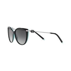 0TF4178 Cat Eye Sunglasses