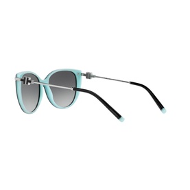 0TF4178 Cat Eye Sunglasses