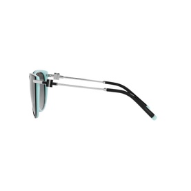 0TF4178 Cat Eye Sunglasses