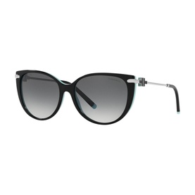 0TF4178 Cat Eye Sunglasses