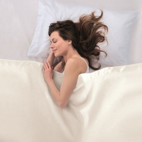 Electric Blanket Adapto Single