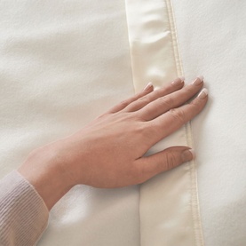 Electric Blanket Adapto Single