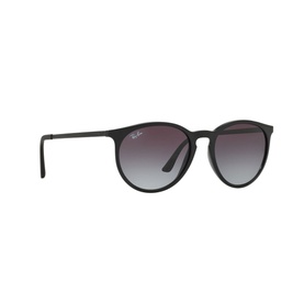 Phantos Sunglasses RB4274