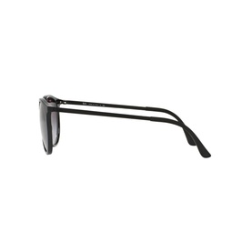 Phantos Sunglasses RB4274
