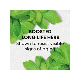 SKINLONGEVITY Long Life Herb Night Treatment