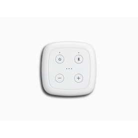 Beacon 310 Bluetooth Speaker