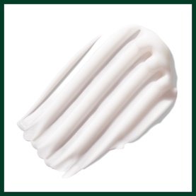 Botanical Kinetics Creme Cleanser