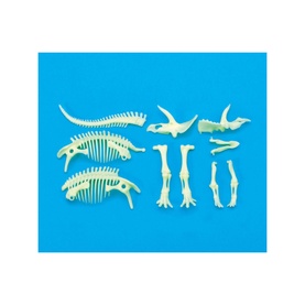 Glow In The Dark Triceratops Skeleton