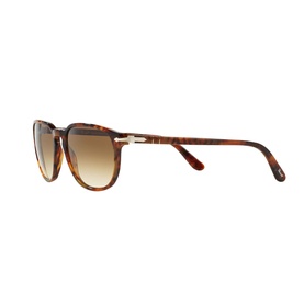 0PO3019S Square Sunglasses