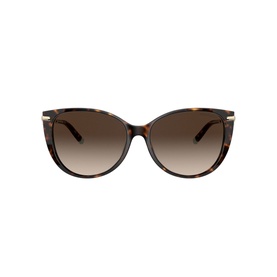0TF4178 Cat Eye Sunglasses