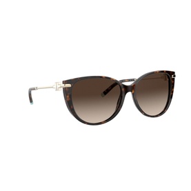 0TF4178 Cat Eye Sunglasses