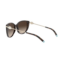 0TF4178 Cat Eye Sunglasses