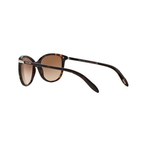 RA5160 Cat Eye Sunglasses