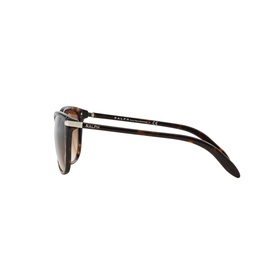 RA5160 Cat Eye Sunglasses