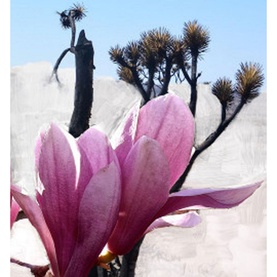 Mojave Ghost Eau de Parfum