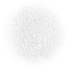 Fresh Moisture Mist