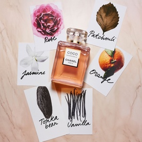 Chanel Coco Mademoiselle Eau de Parfum Intense Spray bottle surrounded by illustrated scent notes: rose, jasmine, patchouli, orange, tonka bean