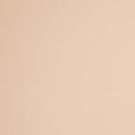 Stretch Camisole