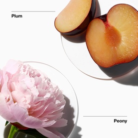 My Happy Peony Picnic