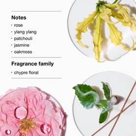 Aromatics Elixir