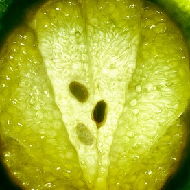 Creed Aventus Eau de Parfum fragrance campaign lifestyle image showing a vivid close-up of a sliced green citrus fruit with seeds
