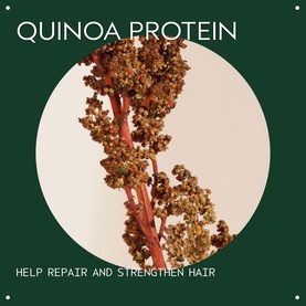 Restructuring Shampoo