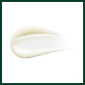 Damage Remedy&trade; Daily Hair Repair