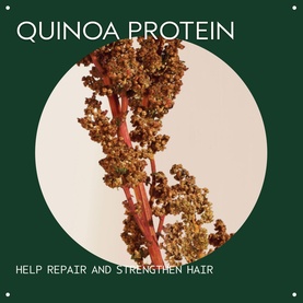 Damage Remedy Conditioner