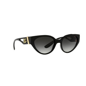 0DG6146 Cat Eye Sunglasses