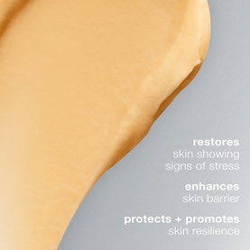 Dermalogica MultiVitamin Power Recovery Masque