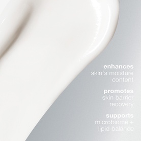 Intensive Moisture Balance