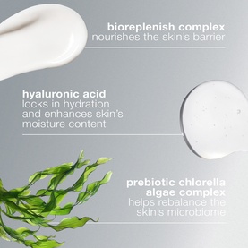 Intensive Moisture Balance