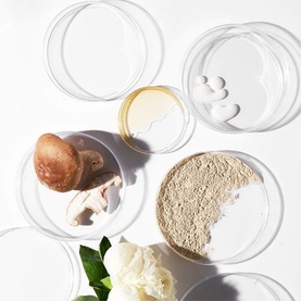 Powerbright Dark Spot Corrector
