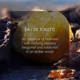 Sauvage Eau de Toilette 30ml