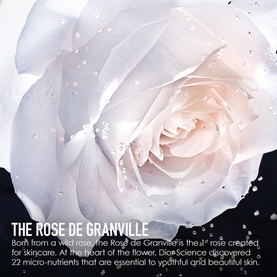 Prestige Micro-Caviar de Rose