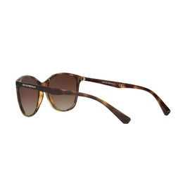 Emporio Cat Eye Sunglasses EA4073 in brown tortoiseshell, shown from rear angle highlighting gold-tone temples and gradient brown lenses