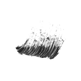 Little Black Primer