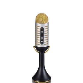 Vintage Musical Bluetooth Microphone