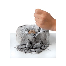Excavation Kit Mini Fossil