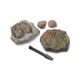 Excavation Kit Mini Fossil