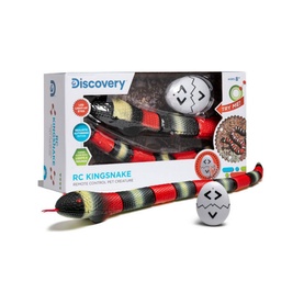 Remote Control Kingsnake