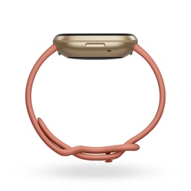 Versa 3