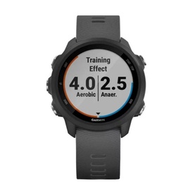 Forerunner 245 Smart Watch