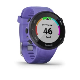 Forerunner 45S Smart Watch Small Iris