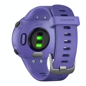 Forerunner 45S Smart Watch Small Iris