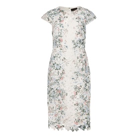 Phase Eight Franky Lace Dress in cream with floral lace detailing, cap sleeves, round neck and fitted silhouette