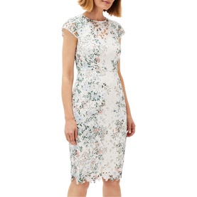 Model wearing Phase Eight Franky Lace Dress in cream with floral lace detailing, cap sleeves, round neck and fitted silhouette