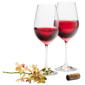 Elegance Red Wine Set of Two Glasses