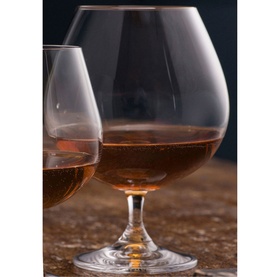 Elegance Brandy Balloon Set of Two Glasses